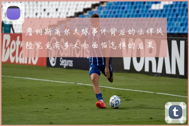詹姆斯高尔夫球事件背后的法律风险究竟有多大会面临怎样的后果