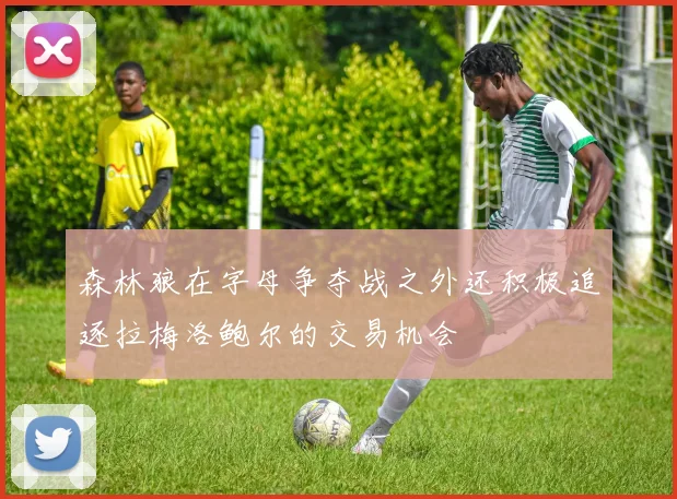 森林狼在字母争夺战之外还积极追逐拉梅洛鲍尔的交易机会